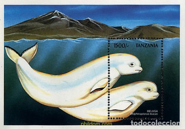 Sellos: 365394 MNH TANZANIA 1999 FAUNA MARINA