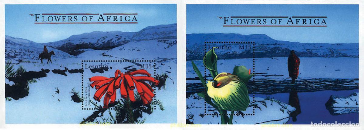 Sellos: 94346 MNH LESOTHO 2000 FLORES DE AFRICA