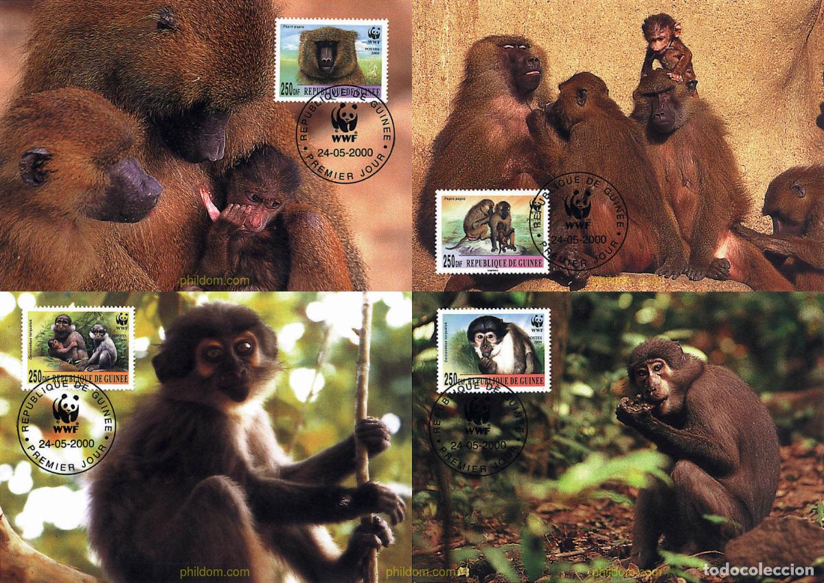 Sellos: 7484 MNH GUINEA 2000 BABUINO, MANGABEY DE COLLAR