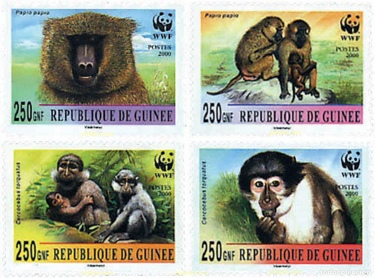 Sellos: 75049 MNH GUINEA 2000 BABUINO, MANGABEY DE COLLAR