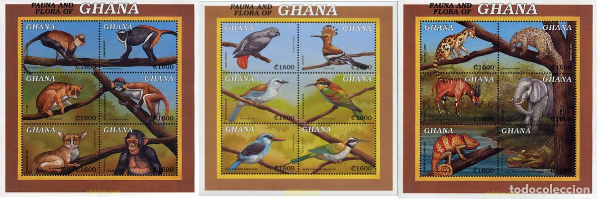 Sellos: 368609 MNH GHANA 2000 FAUNA