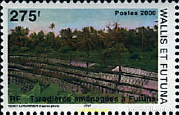 Sellos: 57009 MNH WALLIS Y FUTUNA 2000 PERSONAJES DE LEYENDA