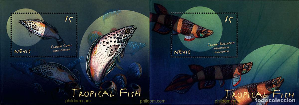 Sellos: 69103 MNH NEVIS 2000 PECES TROPICALES