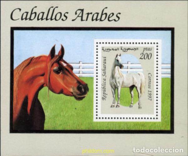 Sellos: 205192 MNH REPUBLICA ARABE SAHAURI DEMOCRATICA 1997 CABALLO