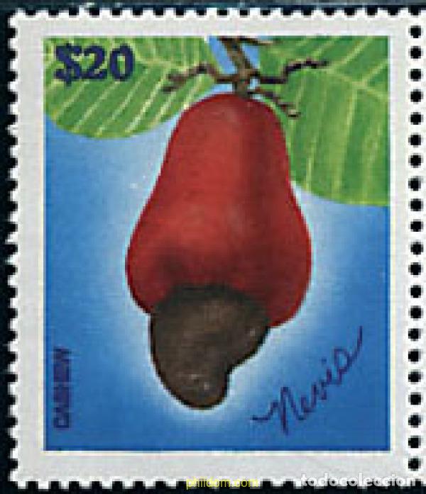 Sellos: 347546 MNH NEVIS 1998 FRUTOS