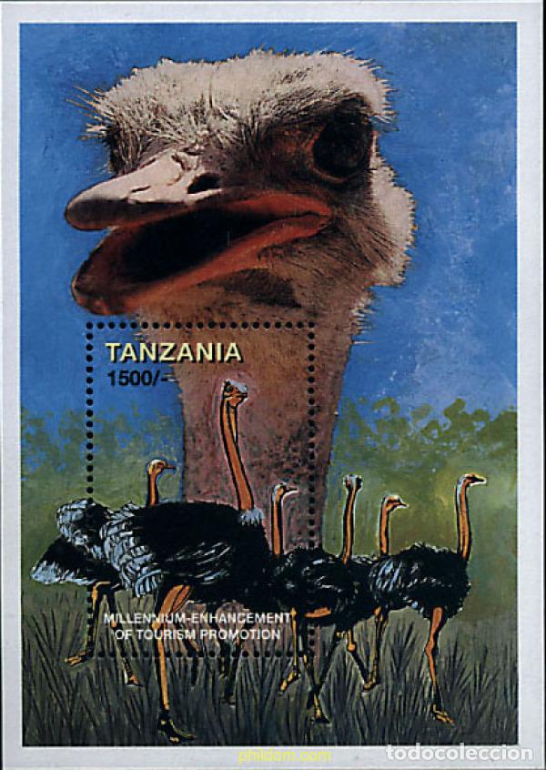 Sellos: 75152 MNH TANZANIA 1999 MILENIO
