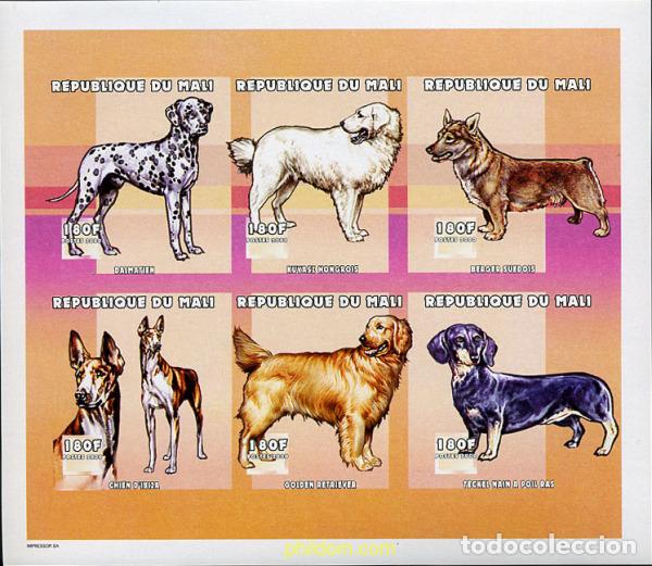 Timbres: 12912 MNH MALI 2000 PERROS DE RAZA