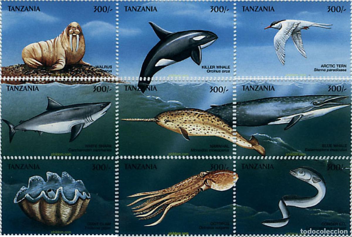 Sellos: 365393 MNH TANZANIA 1999 FAUNA MARINA