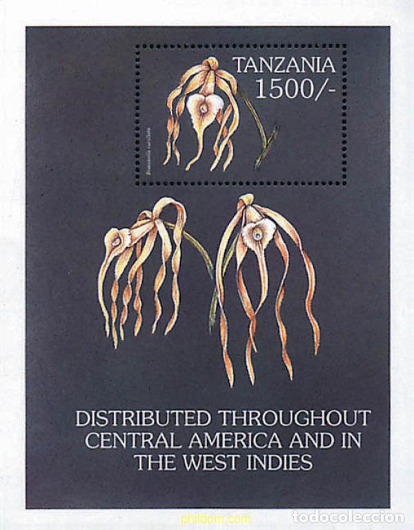 Sellos: 365397 MNH TANZANIA 1999 ORQUIDEAS DEL MUNDO