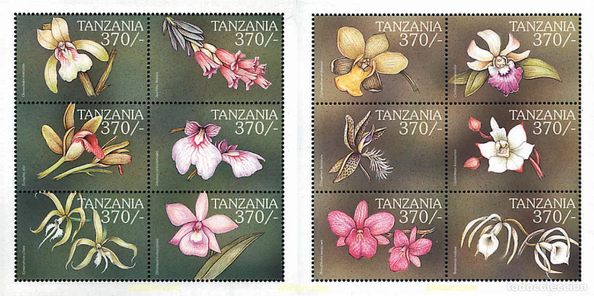 Sellos: 276293 MNH TANZANIA 1999 ORQUIDEAS DEL MUNDO