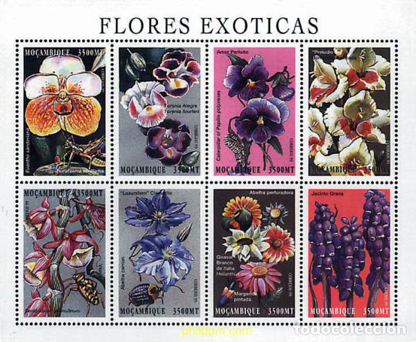 Sellos: 338185 MNH MOZAMBIQUE 2000 FLORES EXOTICAS