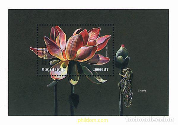 Sellos: 346230 MNH MOZAMBIQUE 2000 FLORES EXOTICAS