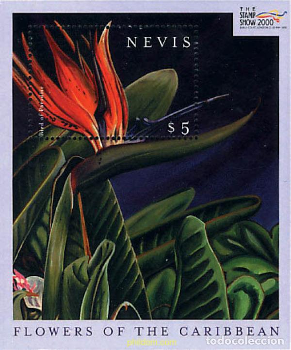 Sellos: 347569 MNH NEVIS 2000 FLORES DEL CARIBE