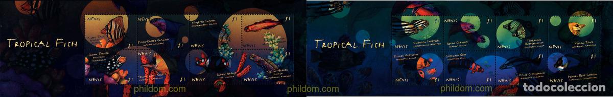 Sellos: 276343 MNH NEVIS 2000 PECES TROPICALES