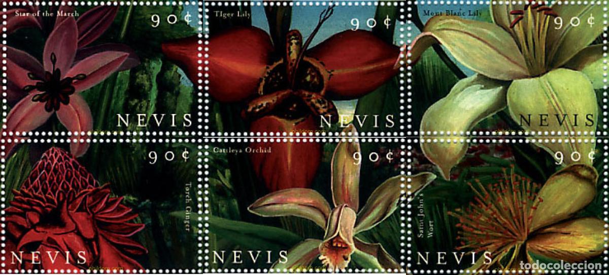 Sellos: 347571 MNH NEVIS 2000 FLORES DEL CARIBE
