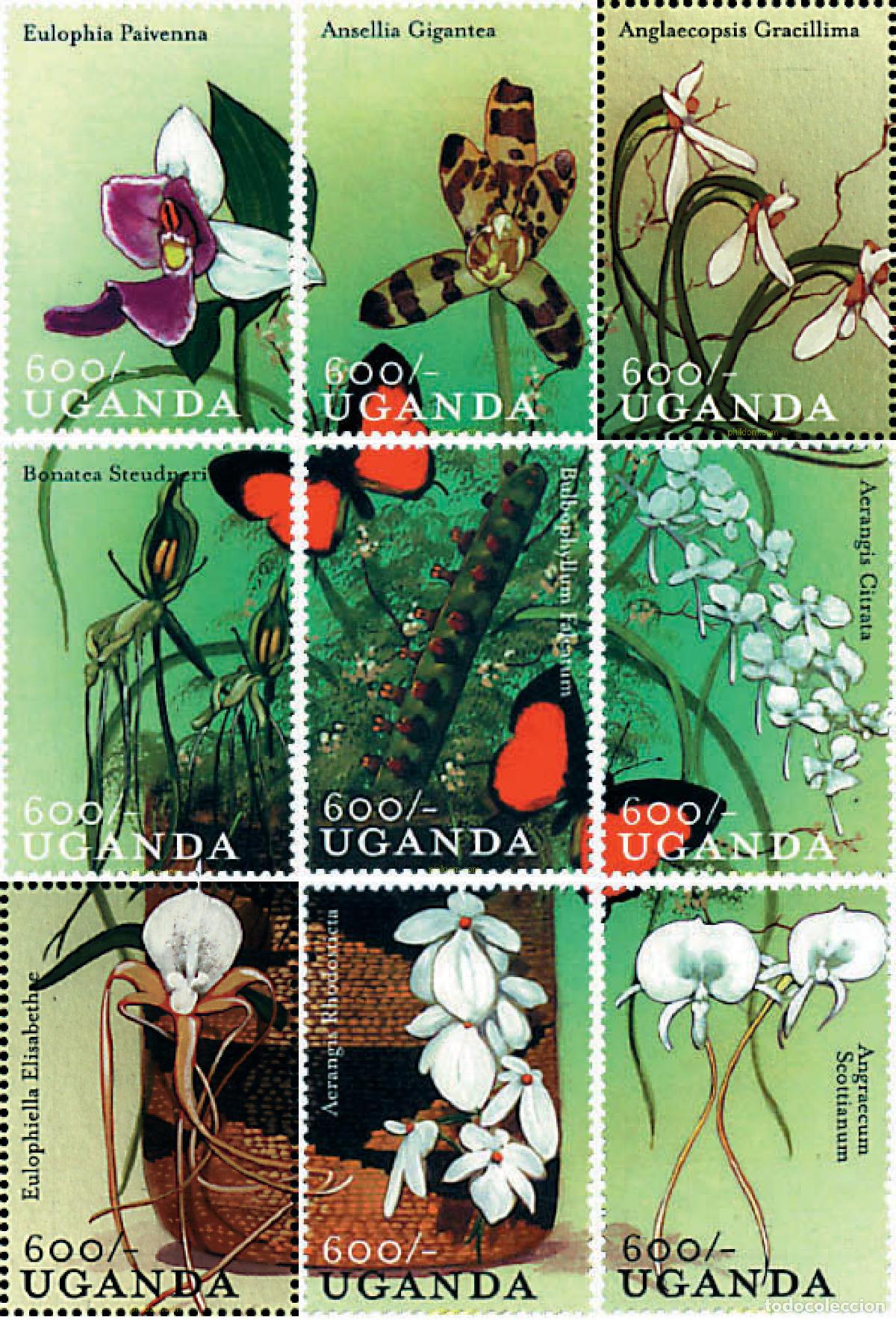 Sellos: 297587 MNH UGANDA 2000 ORQUIDEAS DE UGANDA