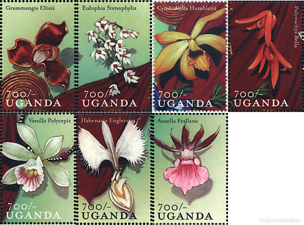 Sellos: 297588 MNH UGANDA 2000 ORQUIDEAS DE UGANDA