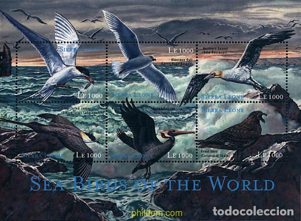 Sellos: 639370 MNH SIERRA LEONA 2000 AVES MARINAS
