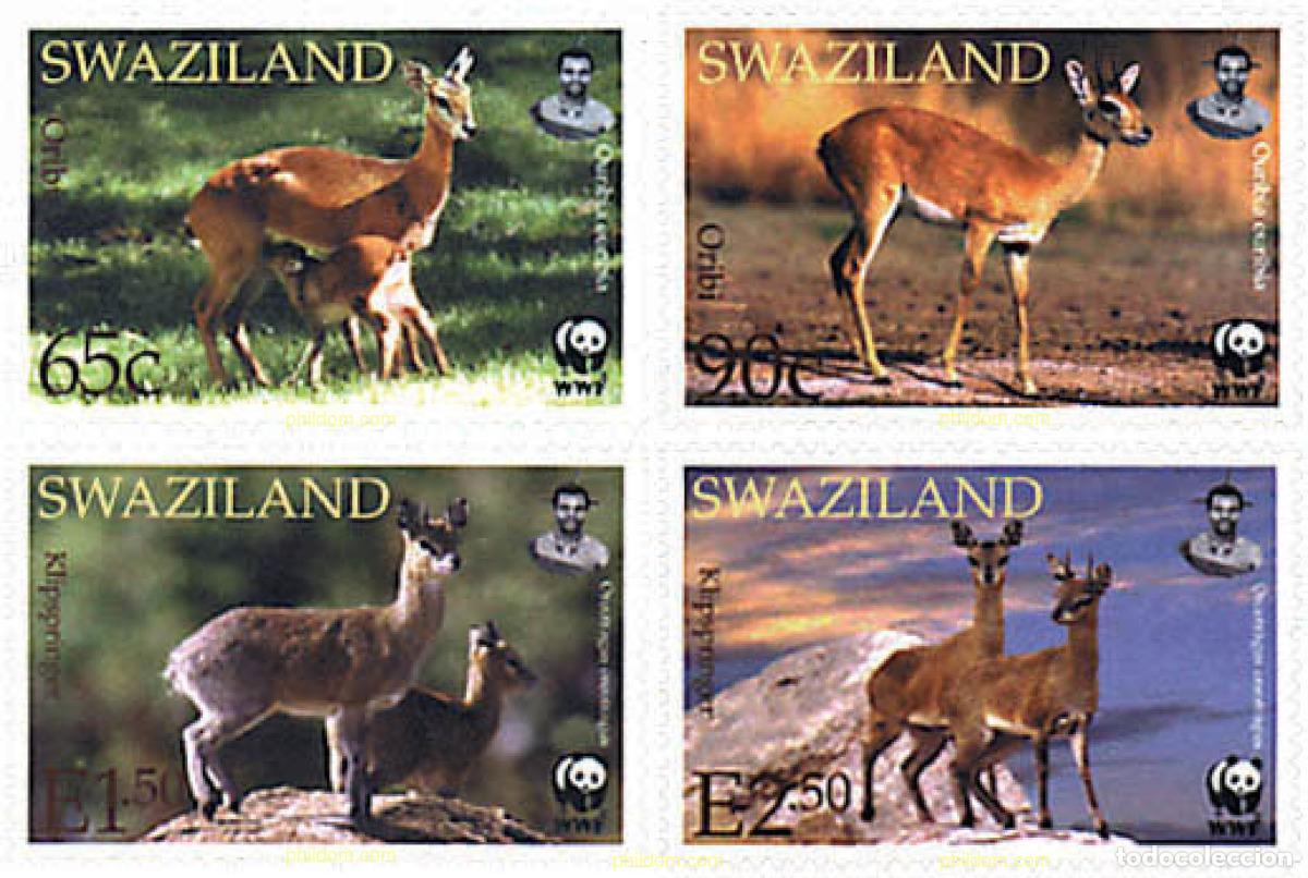 Sellos: 74843 MNH SWAZILANDIA 2001 ORIBI, KLIPSPRINGER