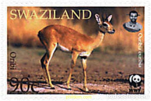 Sellos: 275265 MNH SWAZILANDIA 2001 ORIBI, KLIPSPRINGER