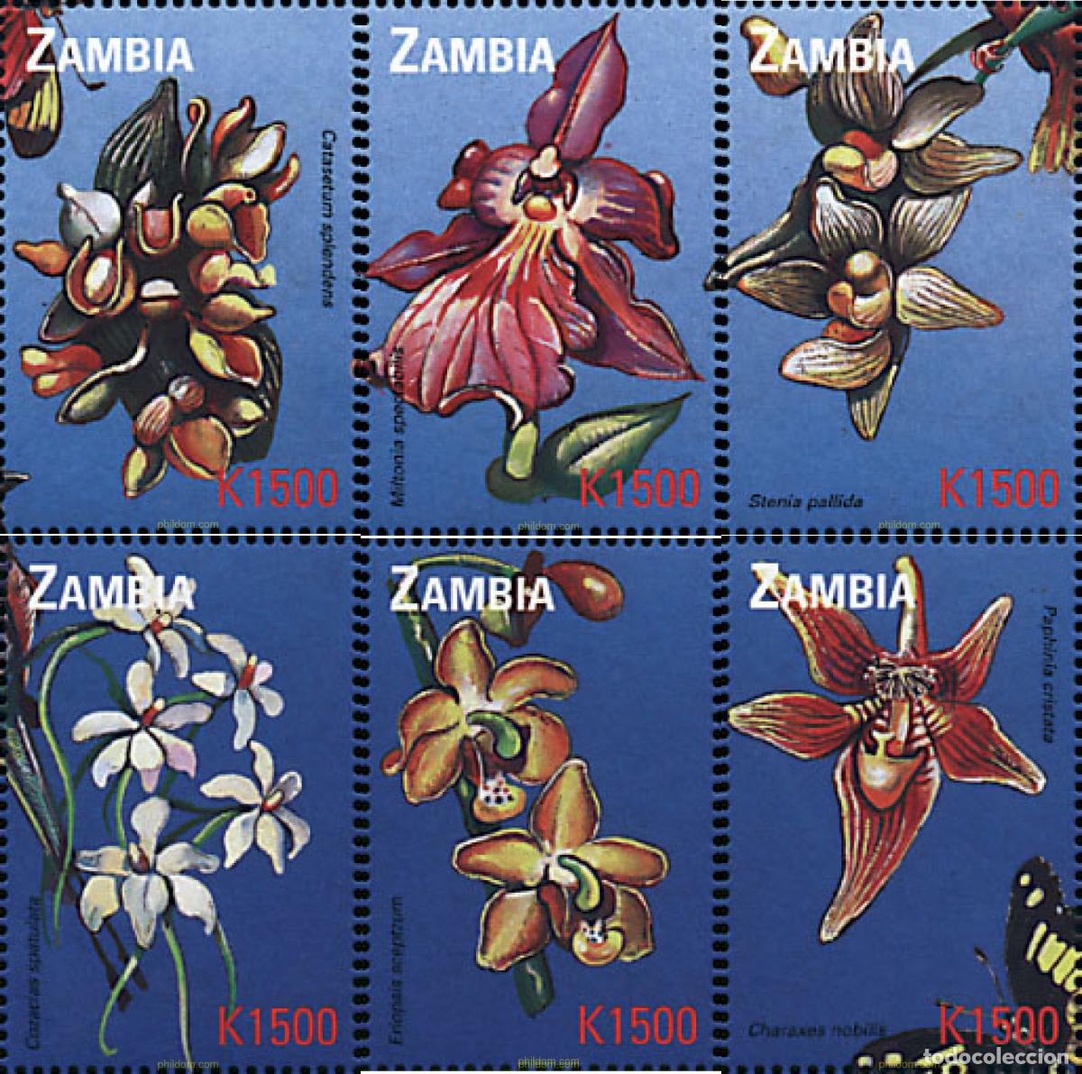 Sellos: 297905 MNH ZAMBIA 2000 THE STAMP SHOW 2000. EXPOSICION FILATELICA INTERNACIONAL