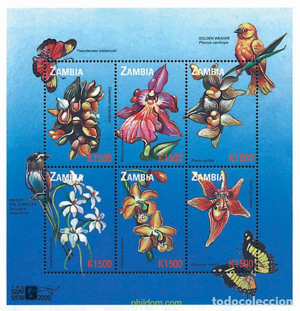Sellos: 667718 MNH ZAMBIA 2000 THE STAMP SHOW 2000. EXPOSICION FILATELICA INTERNACIONAL