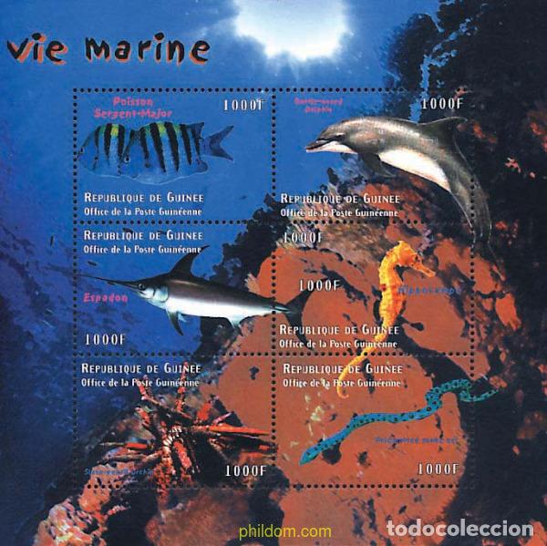 Sellos: 569713 MNH GUINEA 2001 VIDA MARINA