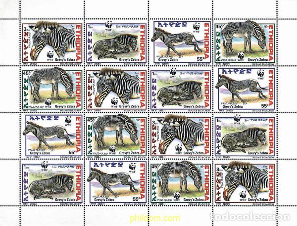 Sellos: 12715 MNH ETIOPIA 2001 CEBRA DE GREVY