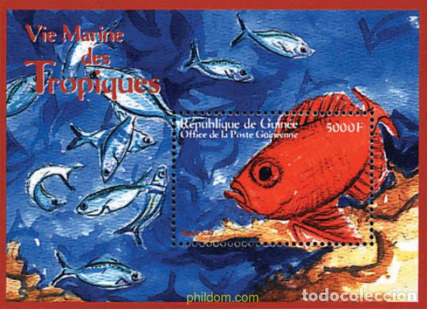Sellos: 323742 MNH GUINEA 2001 VIDA MARINA EN EL TROPICO