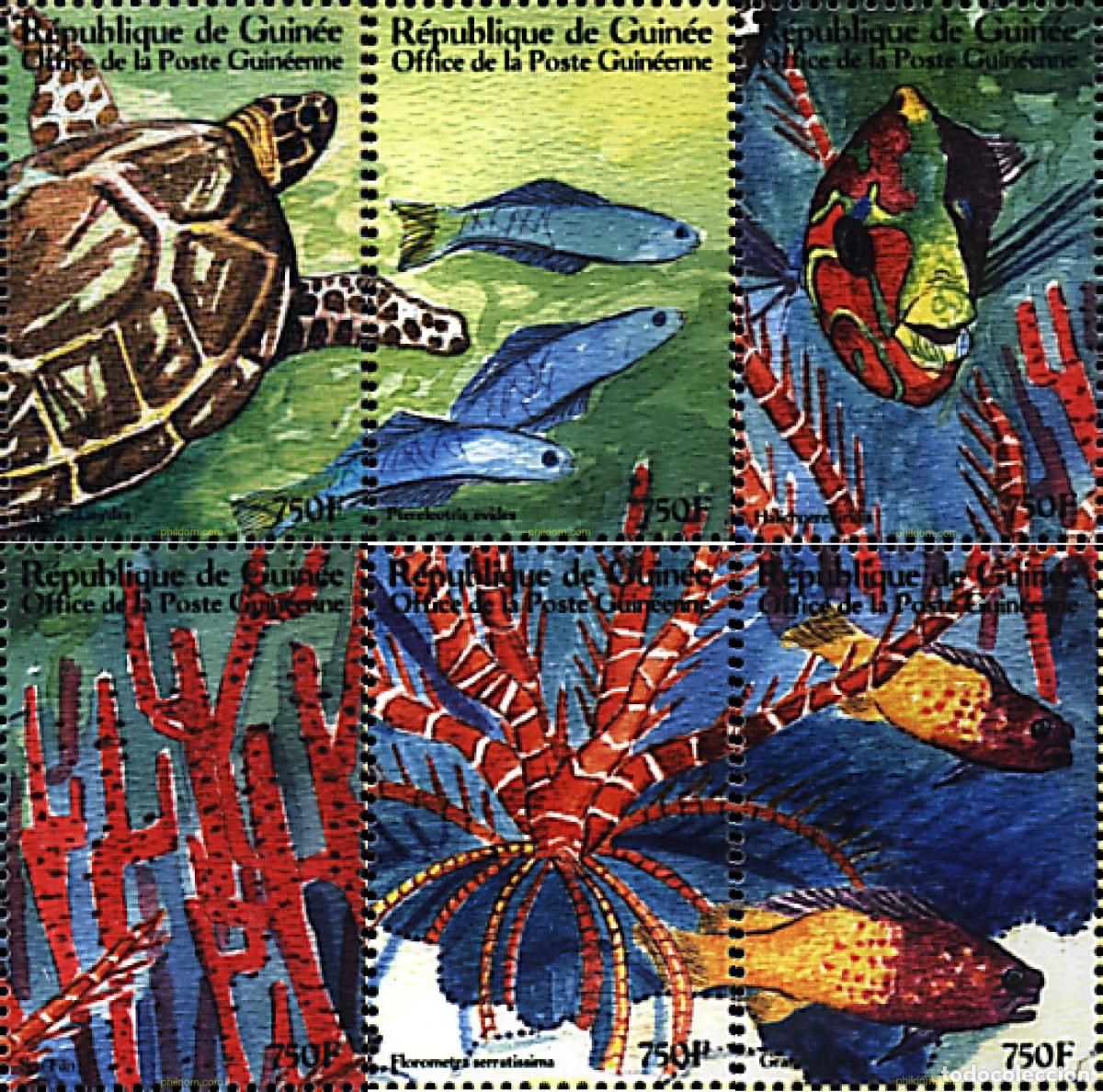 Sellos: 323744 MNH GUINEA 2001 VIDA MARINA EN EL TROPICO
