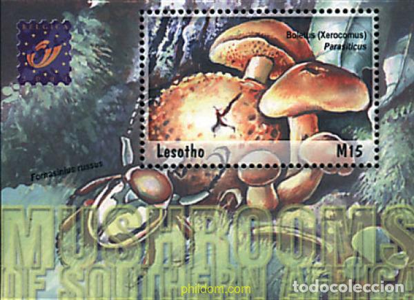 Sellos: 218047 MNH LESOTHO 2001 SETAS DEL SUR DE AFRICA