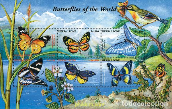 Sellos: 241786 MNH SIERRA LEONA 2001 MARIPOSAS DEL MUNDO
