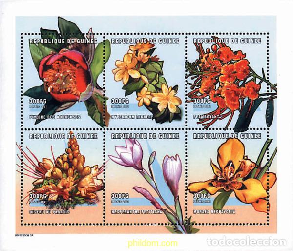 Sellos: 282474 MNH GUINEA 2001 FLORES