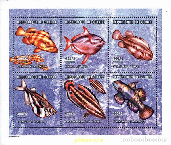 Sellos: 282473 MNH GUINEA 2001 PECES