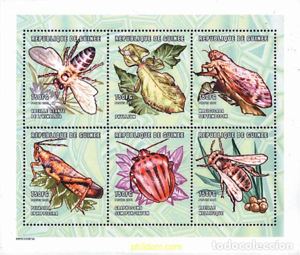 Sellos: 282479 MNH GUINEA 2001 INSECTOS