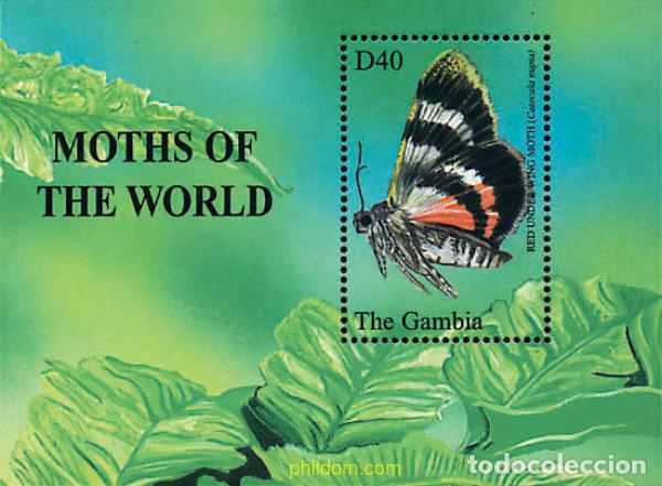 Sellos: 317129 MNH GAMBIA 2002 MARIPOSAS NOCTURNAS DEL MUNDO