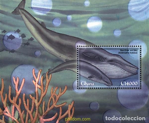 Sellos: 318133 MNH GHANA 2001 EL MUNDO DE LAS BALLENAS