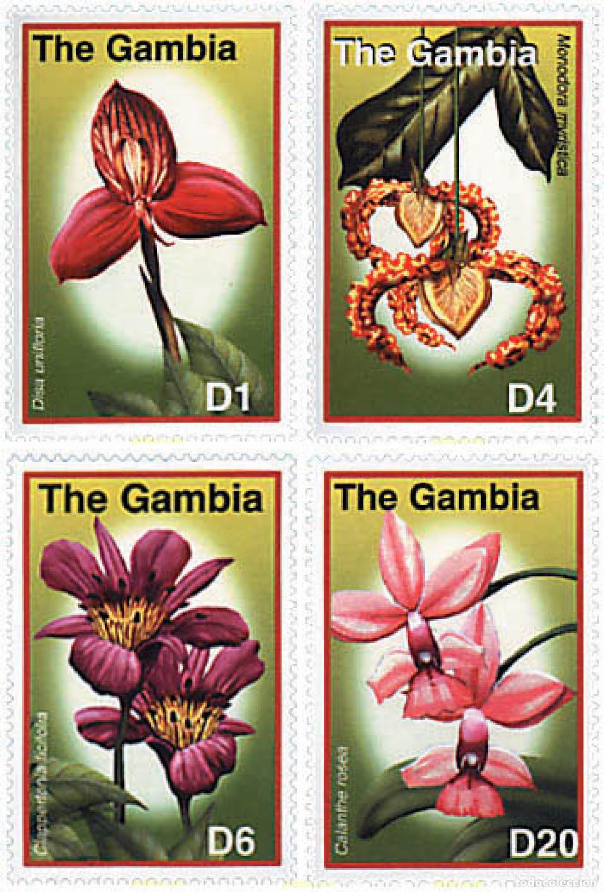 Sellos: 98986 MNH GAMBIA 2001 FLORES DE AFRICA