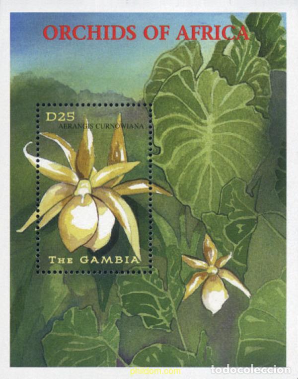 Sellos: 228524 MNH GAMBIA 2001 ORQUIDEAS