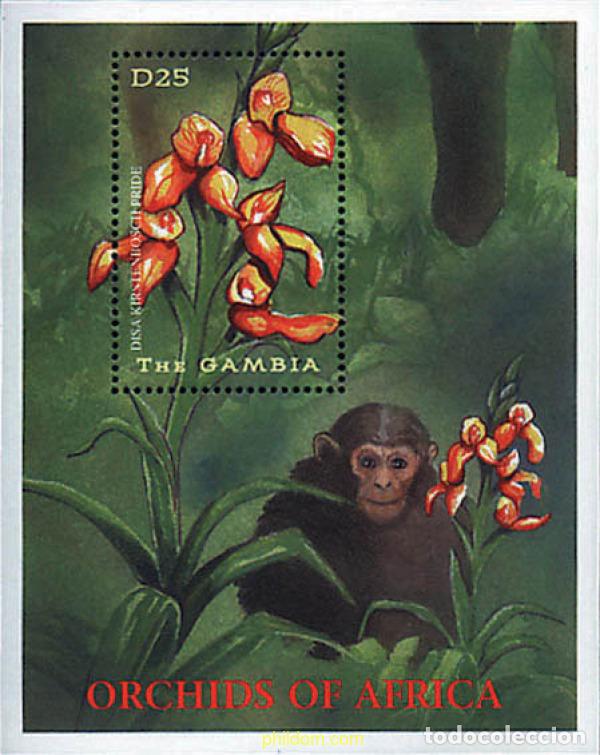 Sellos: 317125 MNH GAMBIA 2001 ORQUIDEAS