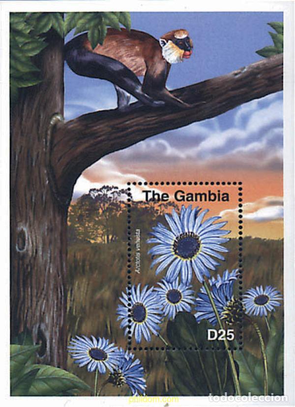 Sellos: 317104 MNH GAMBIA 2001 FLORES DE AFRICA