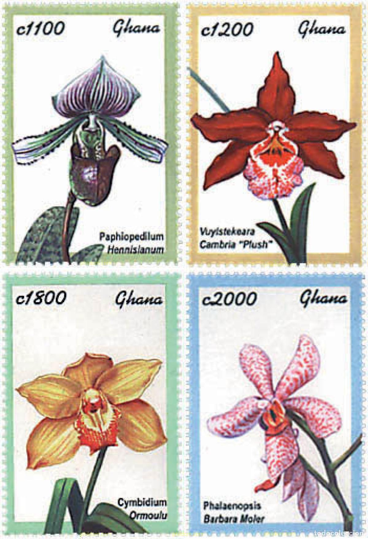 Sellos: 91195 MNH GHANA 2001 ORQUIDEAS DE GHANA Y AFRICA