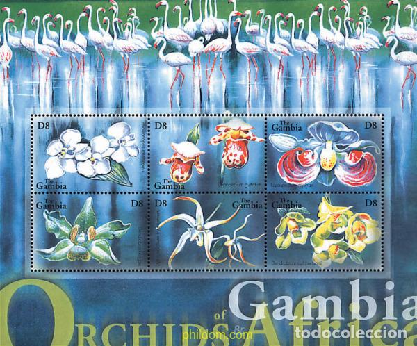 Sellos: 317094 MNH GAMBIA 2001 ORQUIDEAS DE GAMBIA