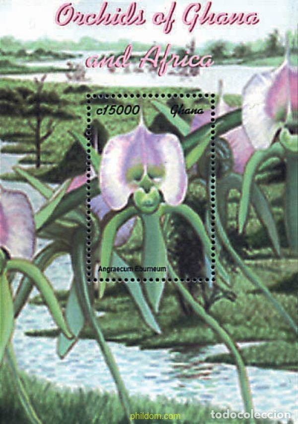 Sellos: 318118 MNH GHANA 2001 ORQUIDEAS DE GHANA Y AFRICA