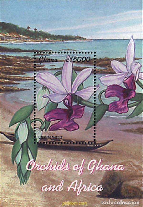 Sellos: 318138 MNH GHANA 2001 ORQUIDEAS DE GHANA Y AFRICA