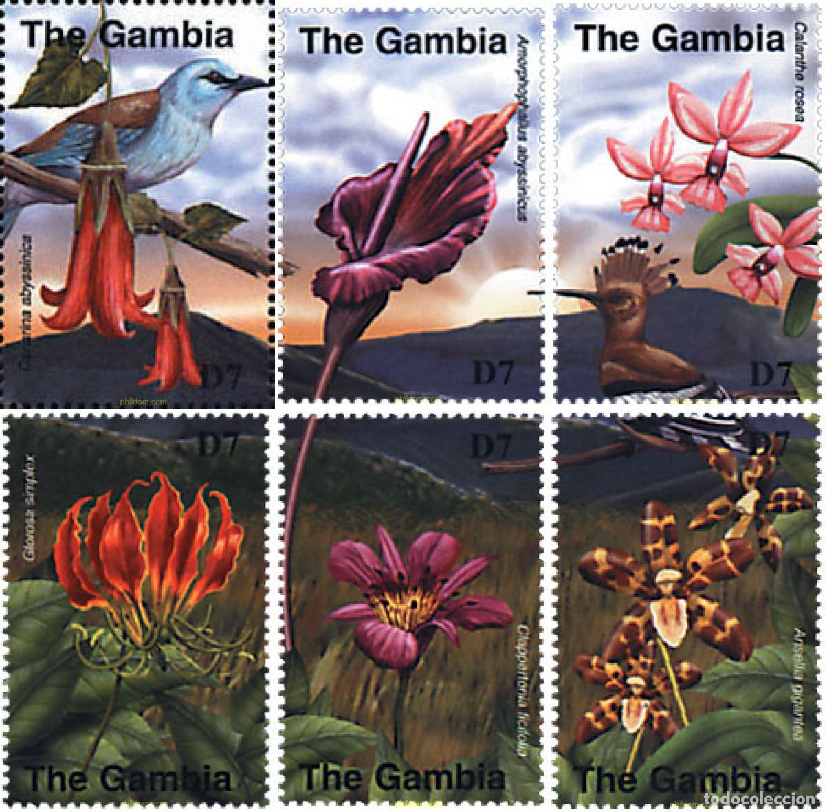 Sellos: 317102 MNH GAMBIA 2001 FLORES DE AFRICA