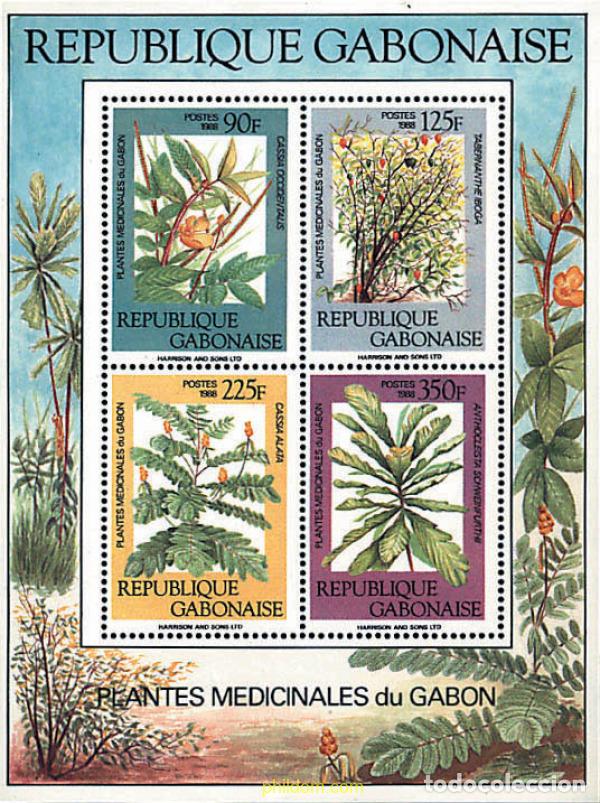 Sellos: 90954 MNH GABON 1988 PLANTAS MEDICINALES DEL GABON