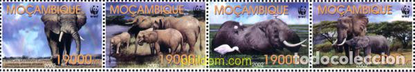 Sellos: 345930 MNH MOZAMBIQUE 2002 WWF