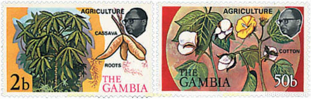 Sellos: 93344 MNH GAMBIA 1973 AGRICULTURA EN GAMBIA