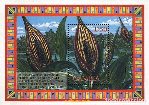 Sellos: 92626 MNH GAMBIA 2002 FLORES DE AFRICA Y DE GAMBIA